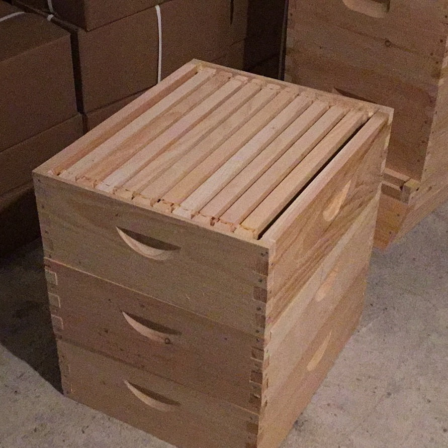 Honey Super Kit Assembled