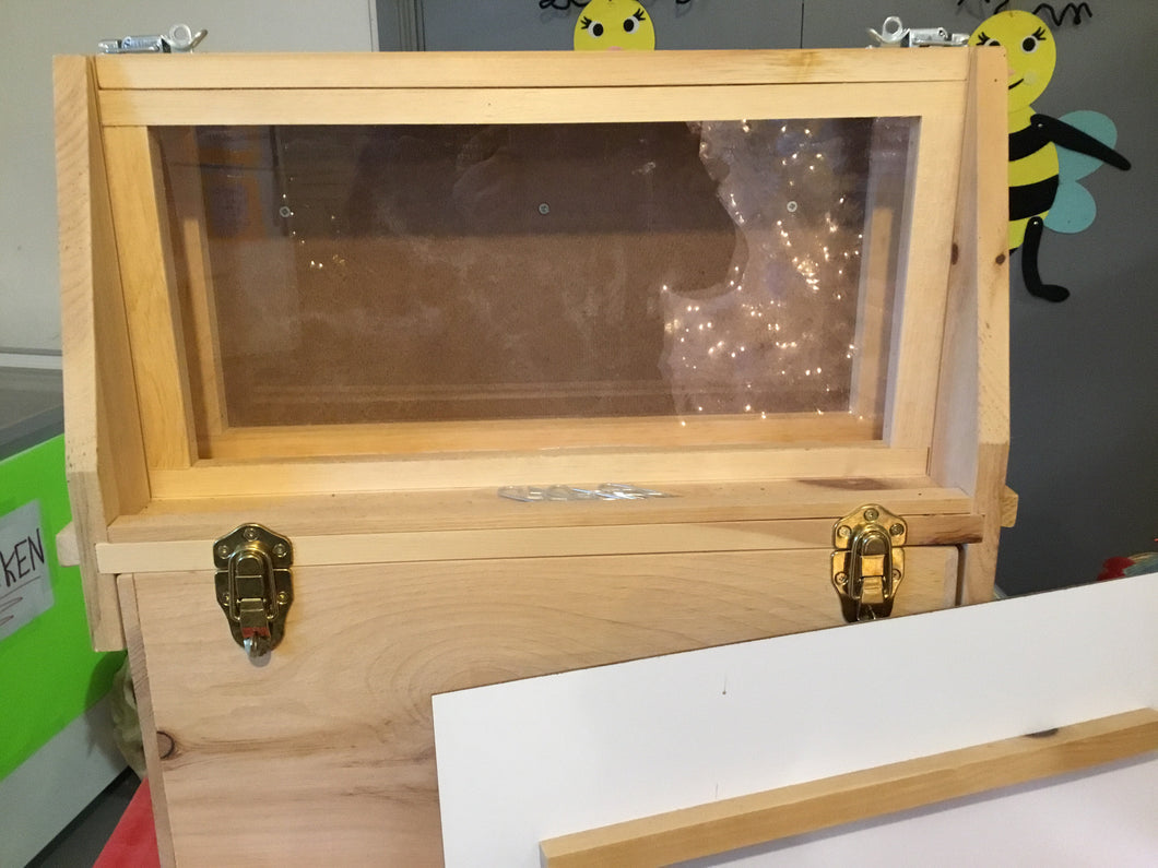Observation hive