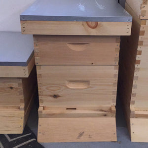 Starter Hive Kit (assembled)